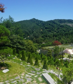 용인수목장공원 by 다원퓨너럴