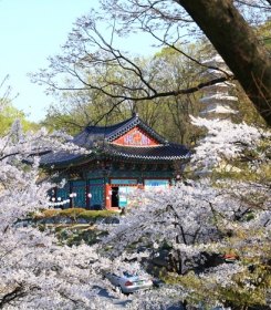 사당동납골당 by 다원퓨너럴