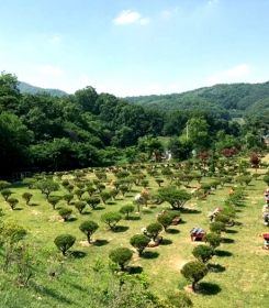 용인수목장 by 다원퓨너럴