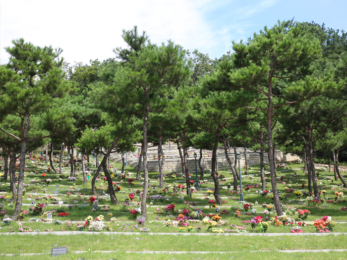 용인수목장_8.jpg